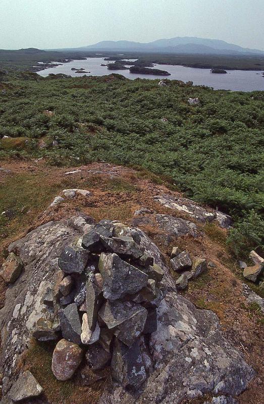 WT 2900 344-32 Ireland.jpg